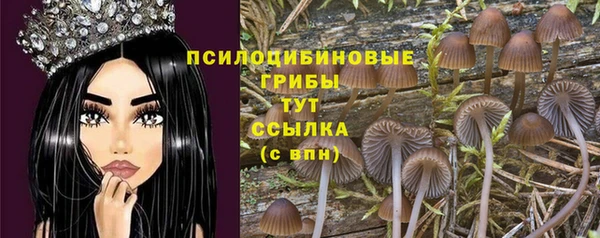 трава Струнино