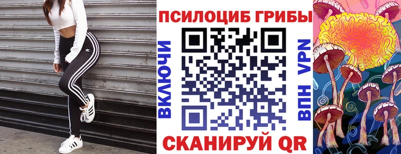 Галлюциногенные грибы Psilocybe  маркетплейс клад  Семёнов  сколько стоит 
